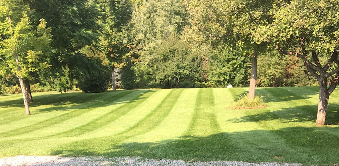 Lawn care