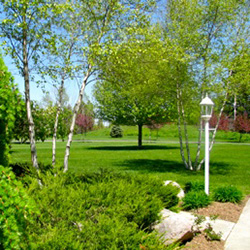 Lawn care petoskey